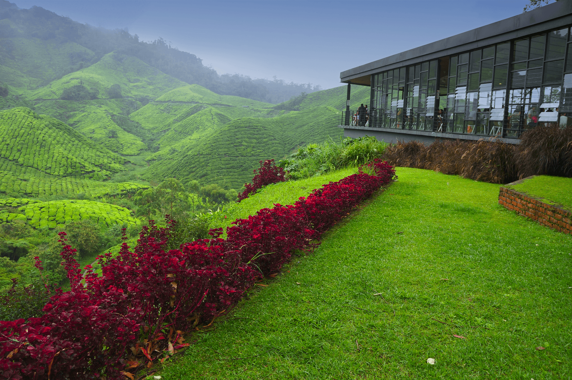 3D2N Cameron Highland Relaxation Escape